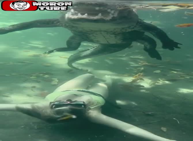 Video :Take a look at this blonde swimming in the water!